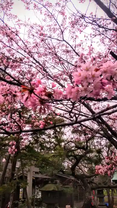 彌彦神社 (伊夜日子神社)の自然