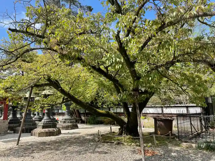上野東照宮(東京都)