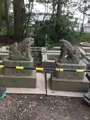 橿原神宮の狛犬