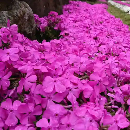 寿量山　速成寺の自然