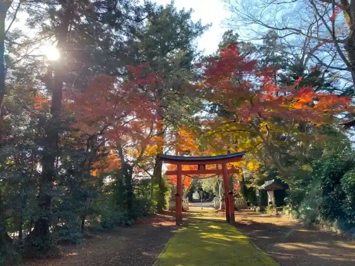 鹿嶋神社の鳥居
