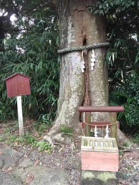 魂生神社の自然