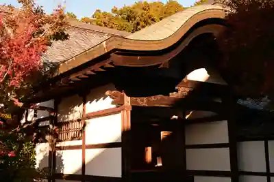 圓光寺(京都府)