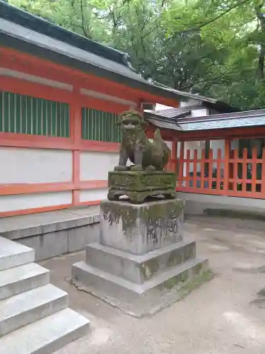 住吉神社の狛犬