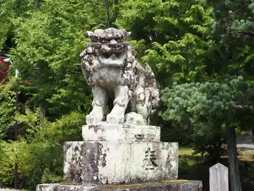 出雲大神宮の狛犬