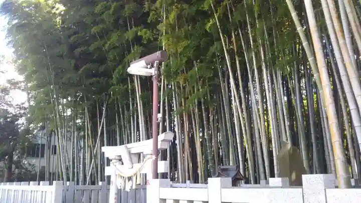 不知森神社の鳥居