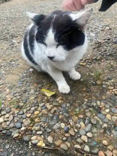 鎌数伊勢大神宮の{uncategorized: "未分類", other: "その他", undefined: "問題あり", building: "その他建物", grave: "お墓", sacred_gate: "鳥居", guardian: "狛犬", statue: "像", buddha: "仏像", history: "歴史", nature: "自然", garden: "庭園", animal: "動物", pagoda: "塔", temizu: "手水舎", mountain_gate: "山門・神門", sanctuary: "本殿・本堂", subordinate: "末社・摂社", art: "芸術", scenery: "景色", jizo: "地蔵", ema: "絵馬", goshuin: "御朱印", omikuji: "おみくじ", items: "授与品その他", amulet: "お守り", goshuincho: "御朱印帳", eats: "食事", festival: "お祭り", votive_dance: "神楽", shichigosan: "七五三参", wedding: "結婚式", experience: "体験その他", initially: "初詣", around: "周辺", anti_infection: "感染症対策"}