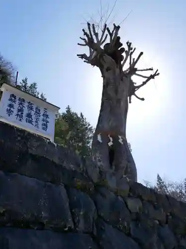 夫婦木神社の建物その他