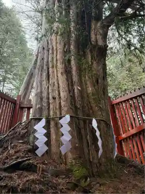 日光二荒山神社中宮祠(栃木県)