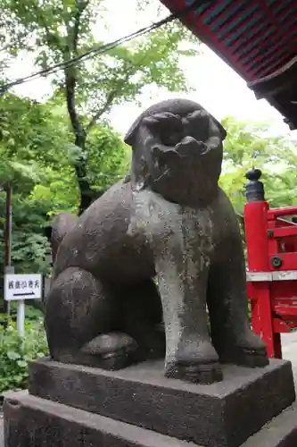 井の頭弁財天（大盛寺）の狛犬