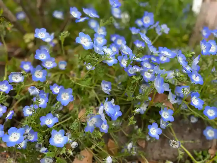 佐野原神社(静岡県)