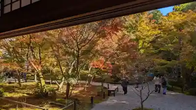 圓光寺(京都府)