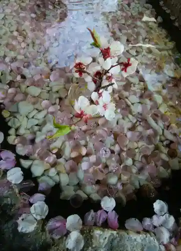 帯廣神社の手水舎