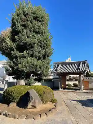 興陽寺(千葉県)