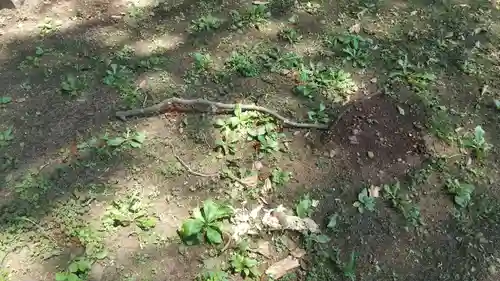 酒門神社(茨城県)