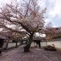正寿院(京都府)