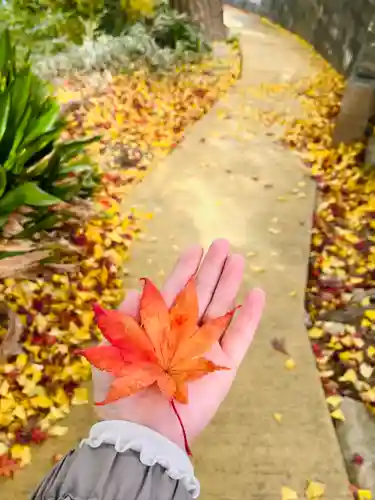 紅葉八幡宮(福岡県)