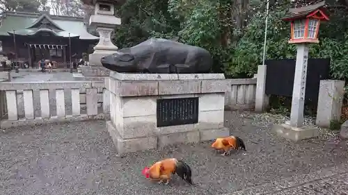 谷保天満宮の狛犬