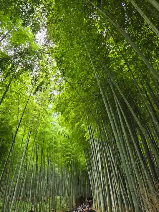天龍寺(京都府)
