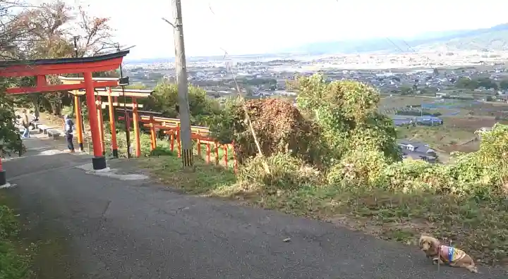 浮羽稲荷神社の{uncategorized: "未分類", other: "その他", undefined: "問題あり", building: "その他建物", grave: "お墓", sacred_gate: "鳥居", guardian: "狛犬", statue: "像", buddha: "仏像", history: "歴史", nature: "自然", garden: "庭園", animal: "動物", pagoda: "塔", temizu: "手水舎", mountain_gate: "山門・神門", sanctuary: "本殿・本堂", subordinate: "末社・摂社", art: "芸術", scenery: "景色", jizo: "地蔵", ema: "絵馬", goshuin: "御朱印", omikuji: "おみくじ", items: "授与品その他", amulet: "お守り", goshuincho: "御朱印帳", eats: "食事", festival: "お祭り", votive_dance: "神楽", shichigosan: "七五三参", wedding: "結婚式", experience: "体験その他", initially: "初詣", around: "周辺", anti_infection: "感染症対策"}