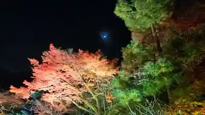 宝厳院(京都府)