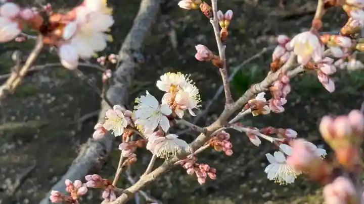 元興寺(奈良県)
