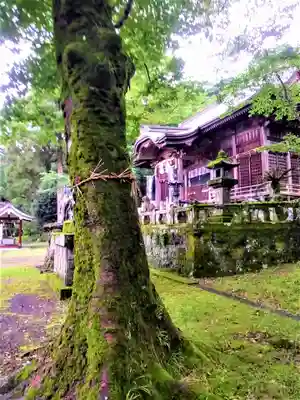 稲佐神社の自然