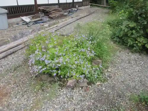 法善寺(埼玉県)