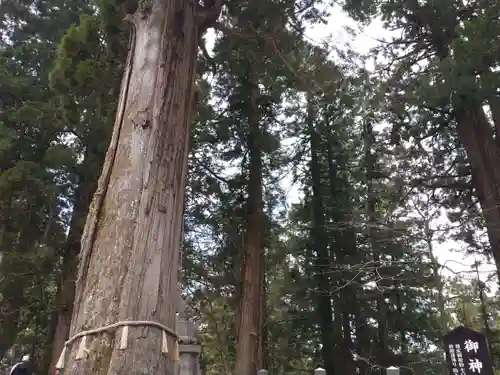 戸隠神社中社(長野県)