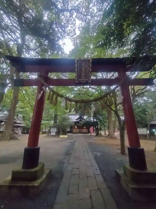 氷川女體神社(埼玉県)