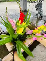 守りの神 藤基神社(新潟県)
