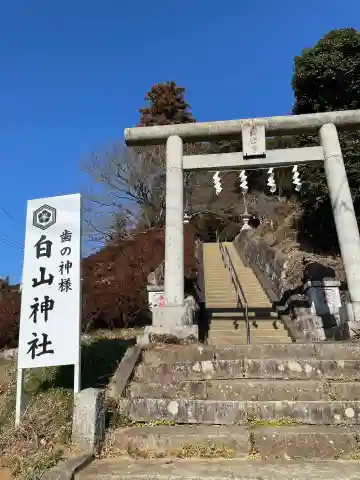 白山神社の{uncategorized: "未分類", other: "その他", undefined: "問題あり", building: "その他建物", grave: "お墓", sacred_gate: "鳥居", guardian: "狛犬", statue: "像", buddha: "仏像", history: "歴史", nature: "自然", garden: "庭園", animal: "動物", pagoda: "塔", temizu: "手水舎", mountain_gate: "山門・神門", sanctuary: "本殿・本堂", subordinate: "末社・摂社", art: "芸術", scenery: "景色", jizo: "地蔵", ema: "絵馬", goshuin: "御朱印", omikuji: "おみくじ", items: "授与品その他", amulet: "お守り", goshuincho: "御朱印帳", eats: "食事", festival: "お祭り", votive_dance: "神楽", shichigosan: "七五三参", wedding: "結婚式", experience: "体験その他", initially: "初詣", around: "周辺", anti_infection: "感染症対策"}