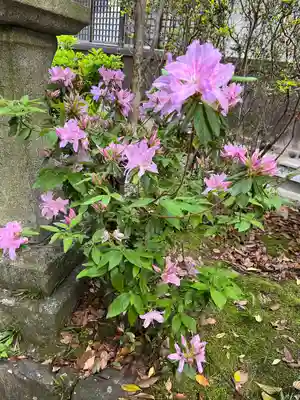 石清水八幡宮(京都府)