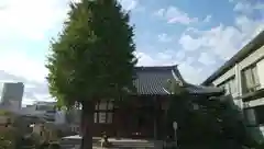 真正寺の本殿