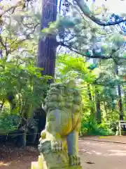 側高神社(千葉県)