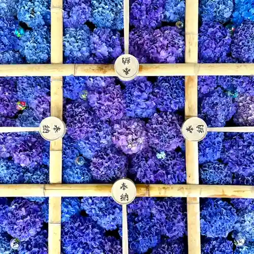 土津神社｜こどもと出世の神さまの手水舎