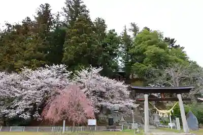 田村神社の鳥居