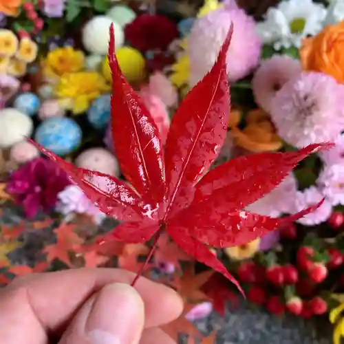 滑川神社 - 仕事と子どもの守り神の手水