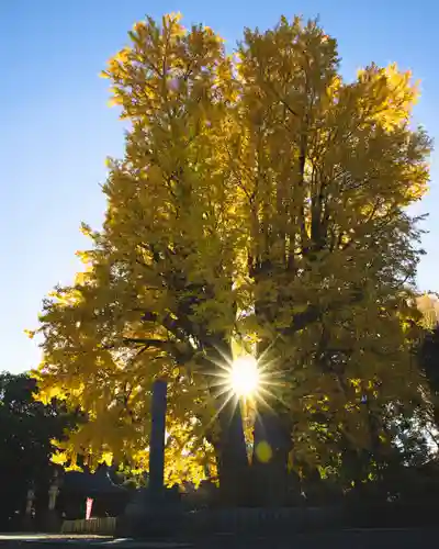 鑁阿寺(栃木県)