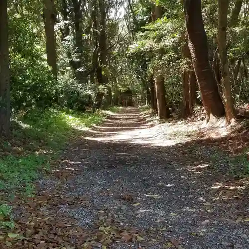 沼尾神社の自然