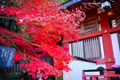 大山阿夫利神社(神奈川県)