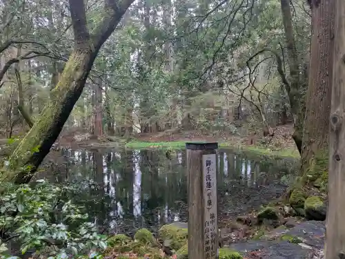 平泉寺白山神社の{uncategorized: "未分類", other: "その他", undefined: "問題あり", building: "その他建物", grave: "お墓", sacred_gate: "鳥居", guardian: "狛犬", statue: "像", buddha: "仏像", history: "歴史", nature: "自然", garden: "庭園", animal: "動物", pagoda: "塔", temizu: "手水舎", mountain_gate: "山門・神門", sanctuary: "本殿・本堂", subordinate: "末社・摂社", art: "芸術", scenery: "景色", jizo: "地蔵", ema: "絵馬", goshuin: "御朱印", omikuji: "おみくじ", items: "授与品その他", amulet: "お守り", goshuincho: "御朱印帳", eats: "食事", festival: "お祭り", votive_dance: "神楽", shichigosan: "七五三参", wedding: "結婚式", experience: "体験その他", initially: "初詣", around: "周辺", anti_infection: "感染症対策"}