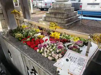 長浜八幡宮の手水舎
