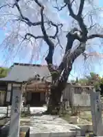 寶喜寺(宮城県)