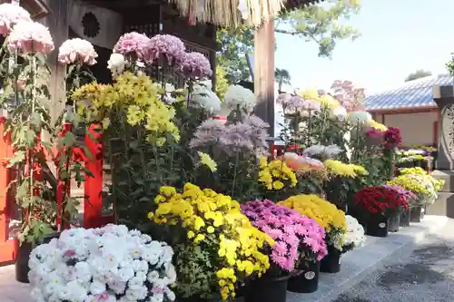 美奈宜神社(福岡県)