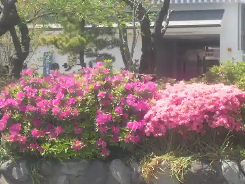 鶴岡八幡宮の自然