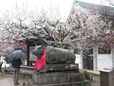 北野天満宮の狛犬