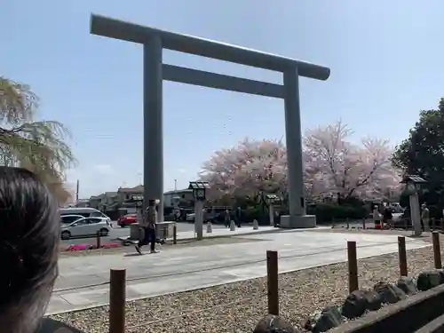 櫻木神社の鳥居