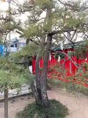 伊弉冊神社の自然