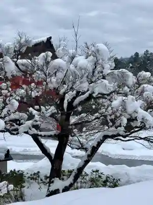 出雲大社 与謝分祠の{uncategorized: "未分類", other: "その他", undefined: "問題あり", building: "その他建物", grave: "お墓", sacred_gate: "鳥居", guardian: "狛犬", statue: "像", buddha: "仏像", history: "歴史", nature: "自然", garden: "庭園", animal: "動物", pagoda: "塔", temizu: "手水舎", mountain_gate: "山門・神門", sanctuary: "本殿・本堂", subordinate: "末社・摂社", art: "芸術", scenery: "景色", jizo: "地蔵", ema: "絵馬", goshuin: "御朱印", omikuji: "おみくじ", items: "授与品その他", amulet: "お守り", goshuincho: "御朱印帳", eats: "食事", festival: "お祭り", votive_dance: "神楽", shichigosan: "七五三参", wedding: "結婚式", experience: "体験その他", initially: "初詣", around: "周辺", anti_infection: "感染症対策"}